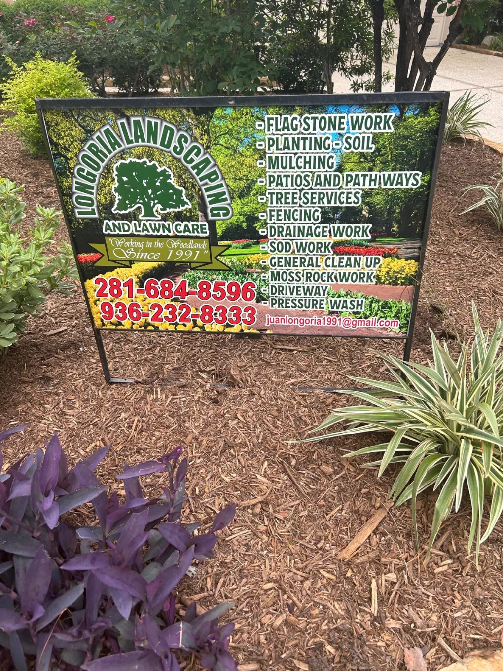 Longoria Landscaping